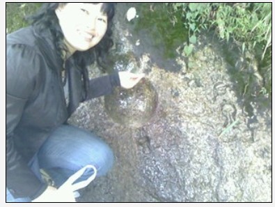 ��˵�������«���������ĴξͿ��Ի����ˣ������˼ٵ�~