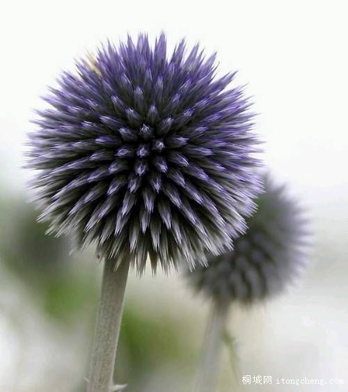 134777_5141157_10.JPG