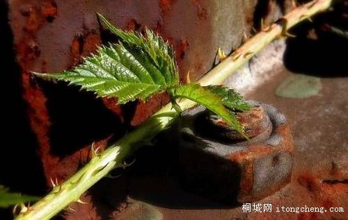 134777_5141157_13.JPG