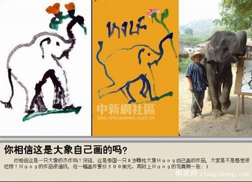 20100719150253282.jpg