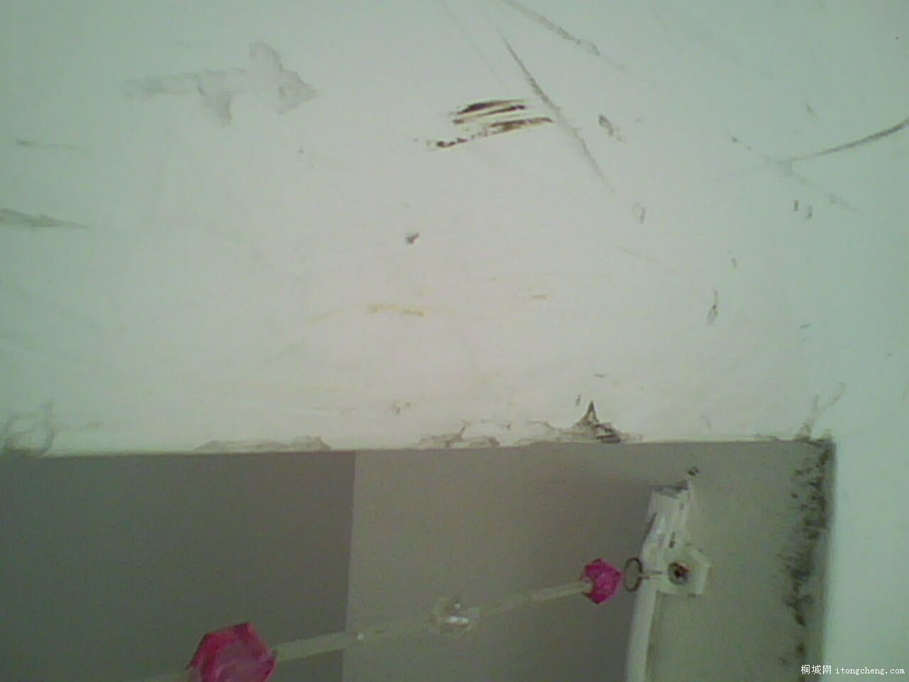 IMG0833A.jpg