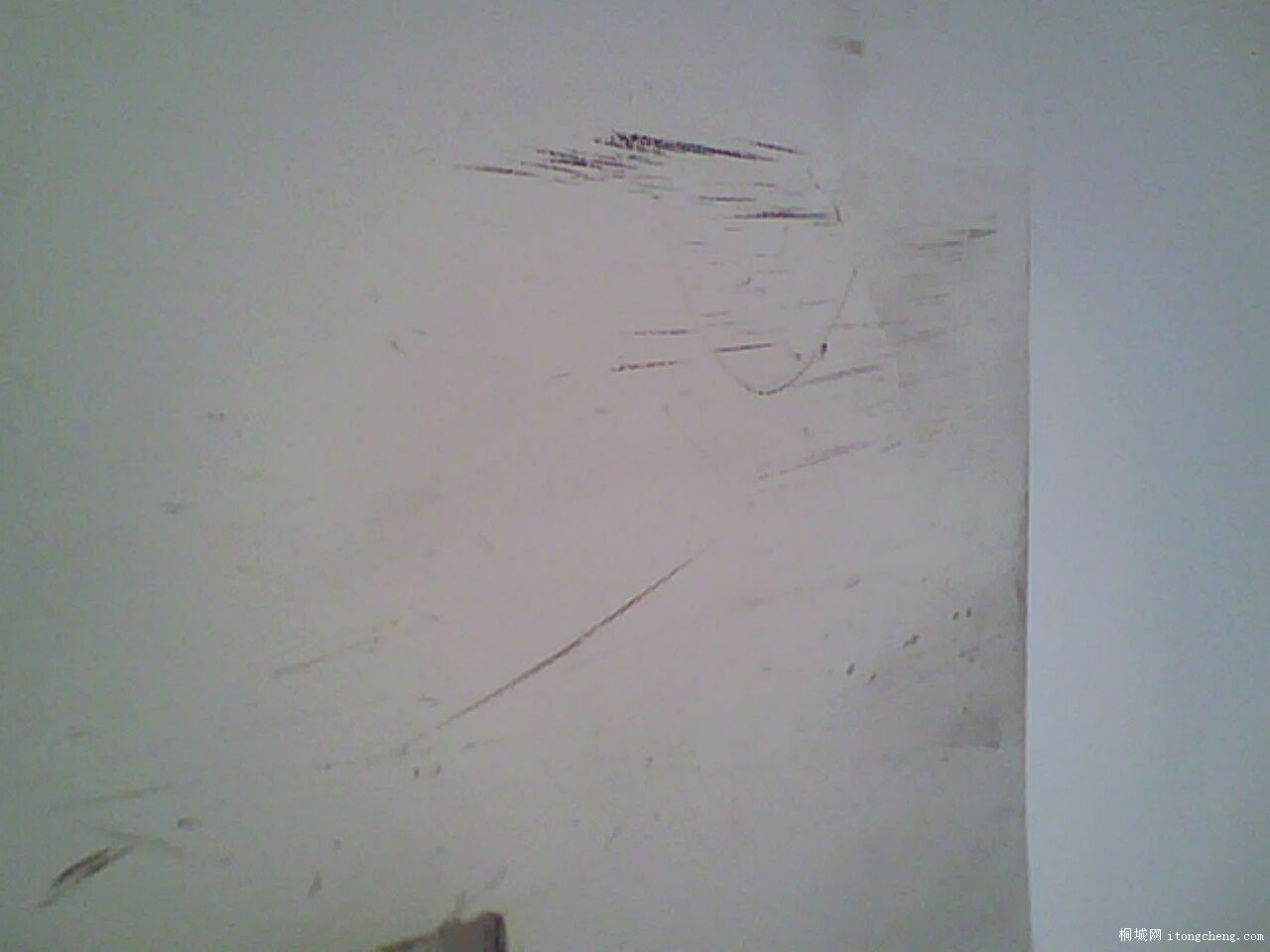 IMG0831A.jpg