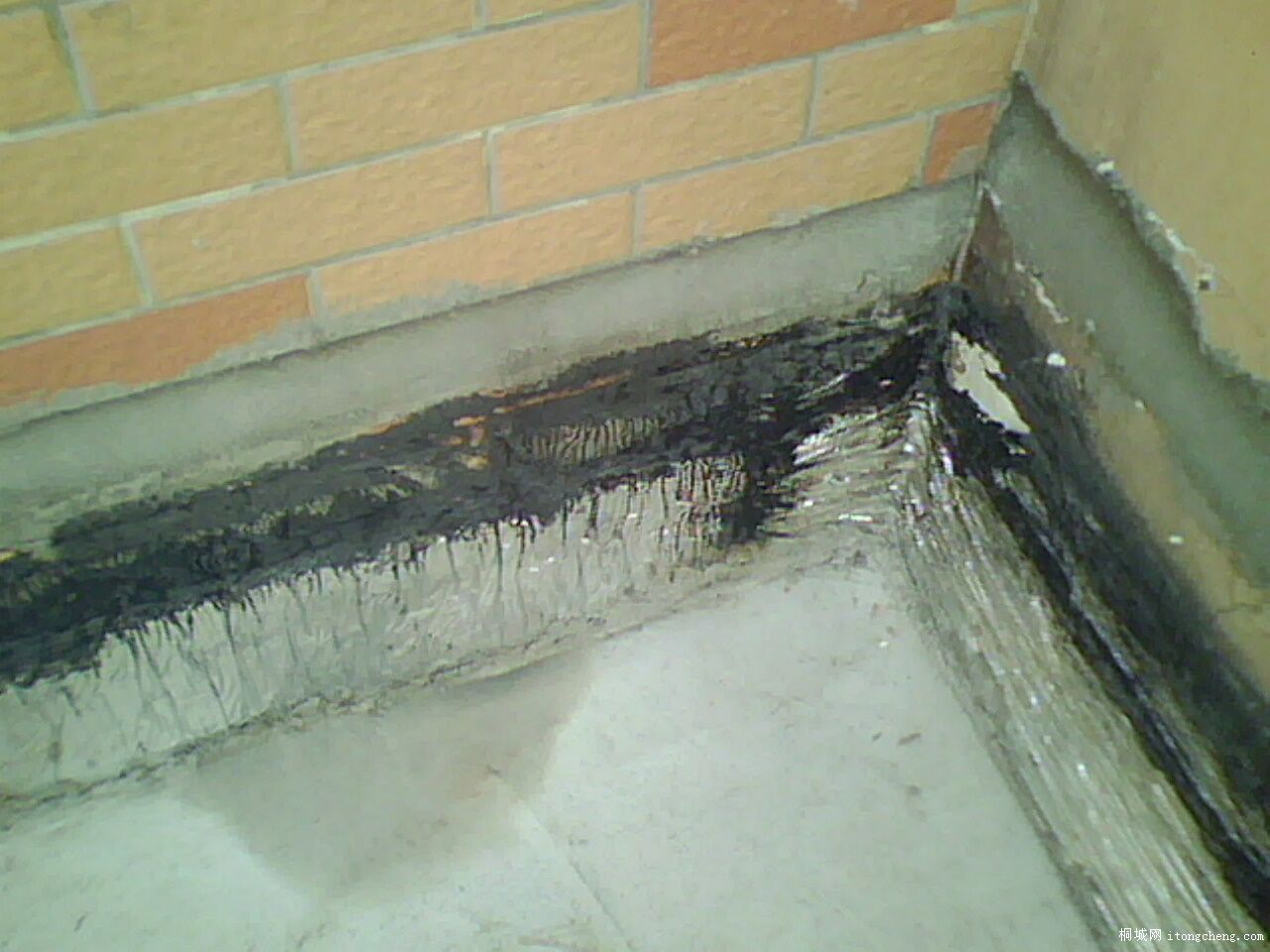 IMG0827A.jpg