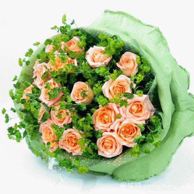 ���տ���