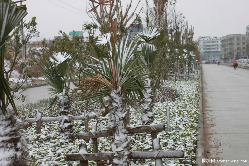 ʢ�Ʊ�·�̻���