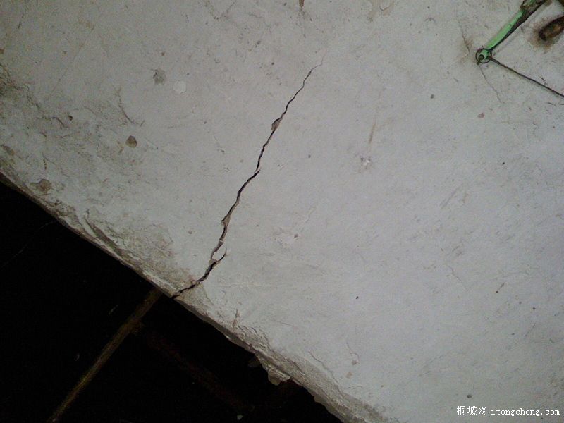 IMG1206124900.jpg