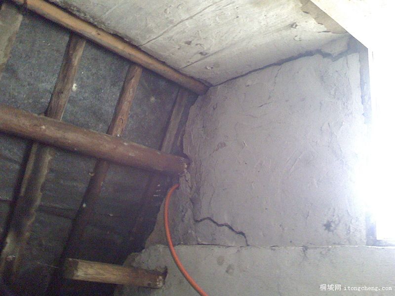 IMG1206125000.jpg