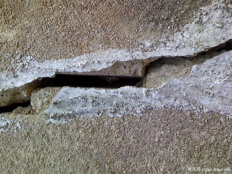 IMG1206125300.jpg