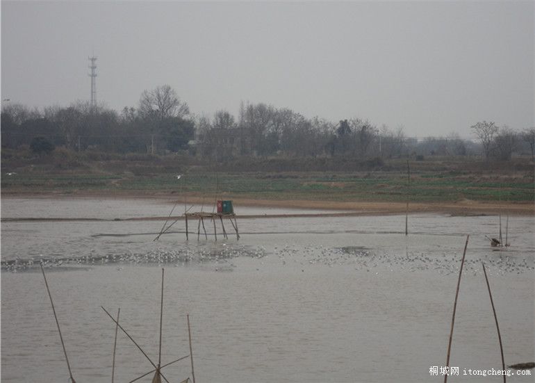 dsc00780_.jpg