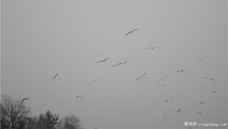 DSC00783_.jpg