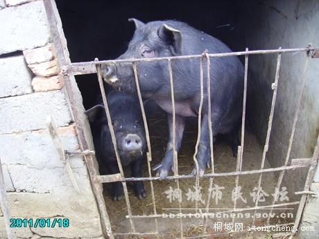 3Ȧ��ķ����ȼ����ɴ�,��������. .jpg