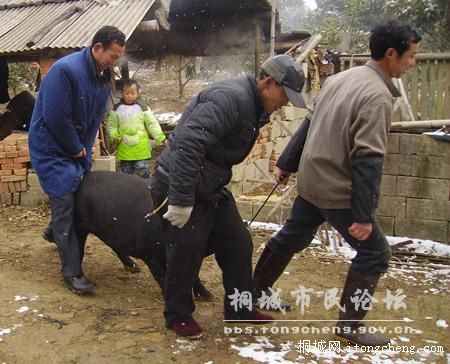 4���յ�ũ���Ÿ��,ǣ������. .jpg