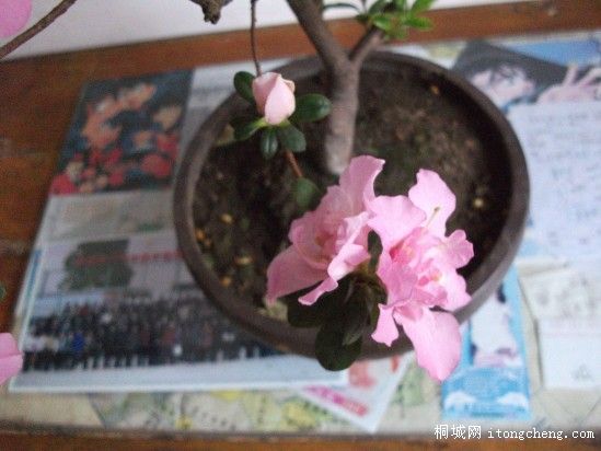 conew_��Ƭ 008.jpg