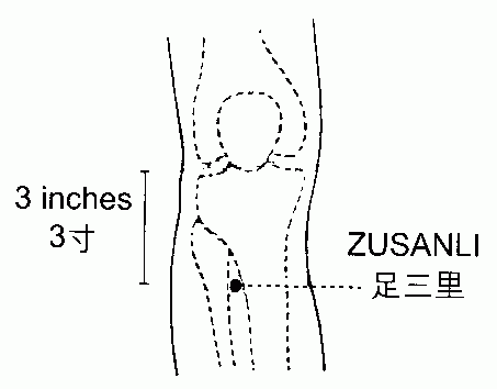 2.gif