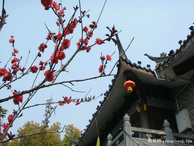 ���ӹ��� (15).JPG