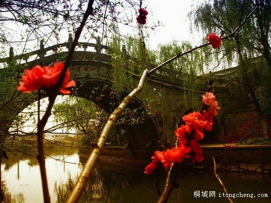 ���ӹ��� (20).JPG