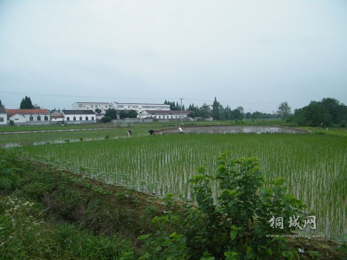 DSCF1439_.jpg