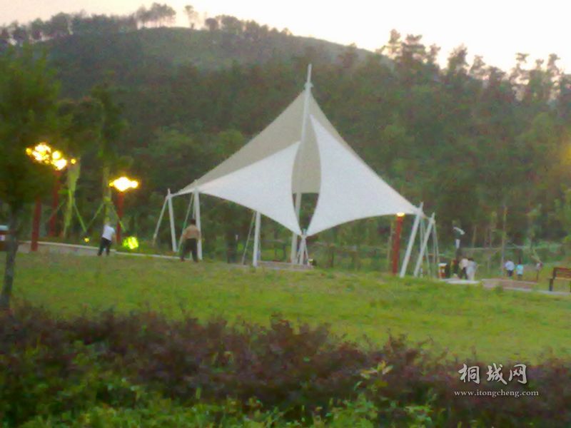 20110623989.jpg