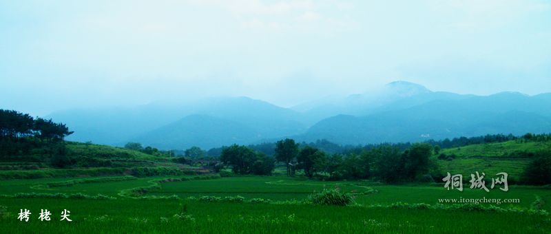 DSCF1757.jpg
