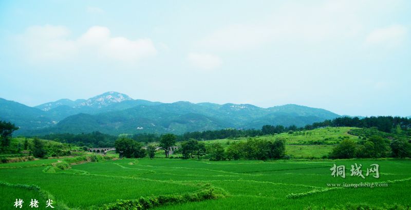 DSCF1768.jpg