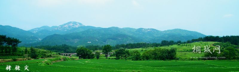 DSCF1771.jpg
