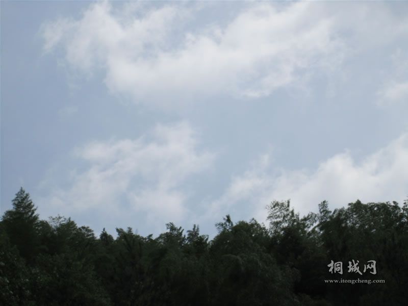 ɽ28.jpg