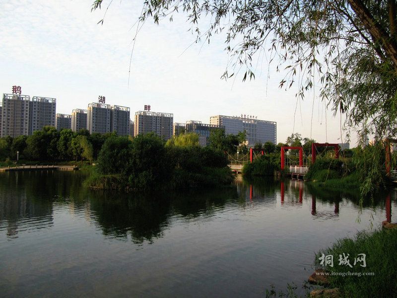 ������ɫ (3).jpg