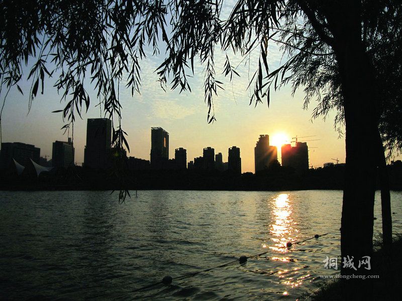 ������ɫ (4).jpg