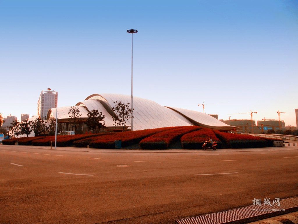 ������ɫ (6).jpg