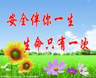 u=2376547388,3907201480&fm=0&gp=0.jpg