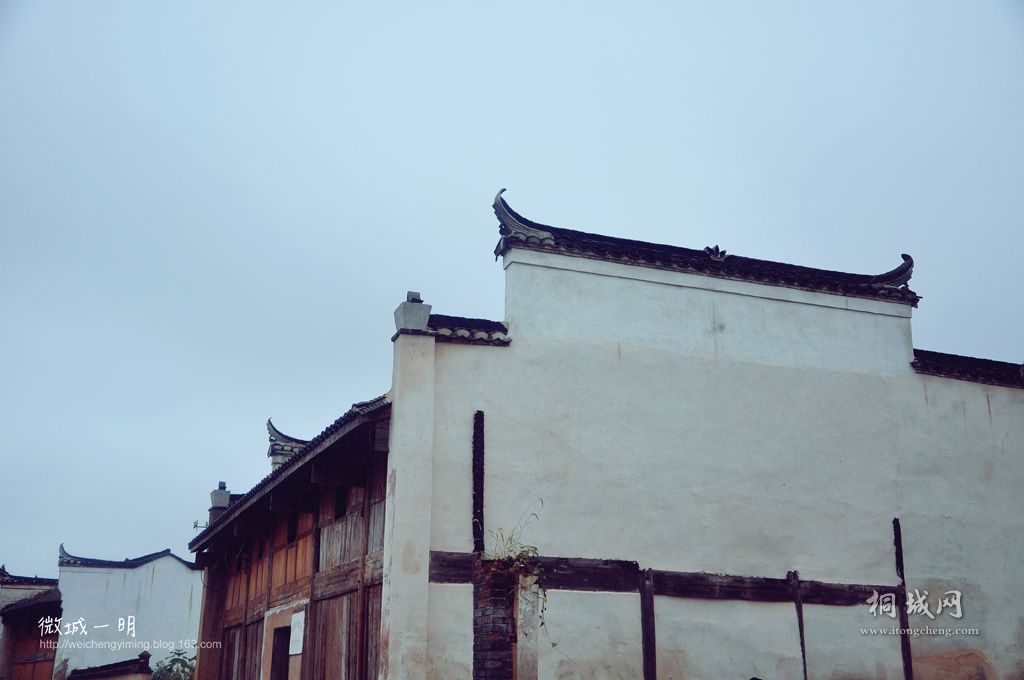 19 ΢��һ�� Ҽ�� ���� ͩ�� ���� �׳� �Ͻ� ����.jpg