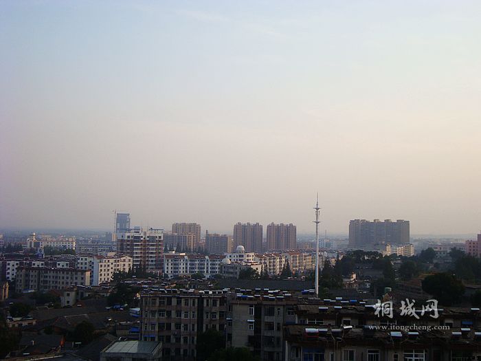 DSC03206.jpg