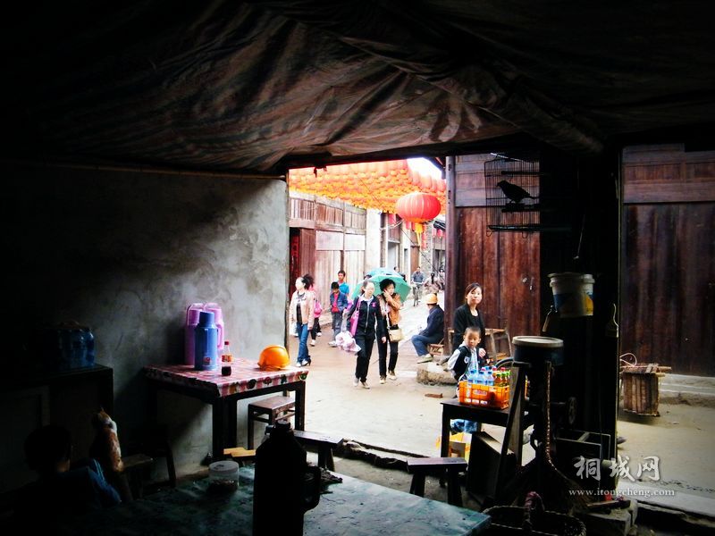 DSCF8488.jpg