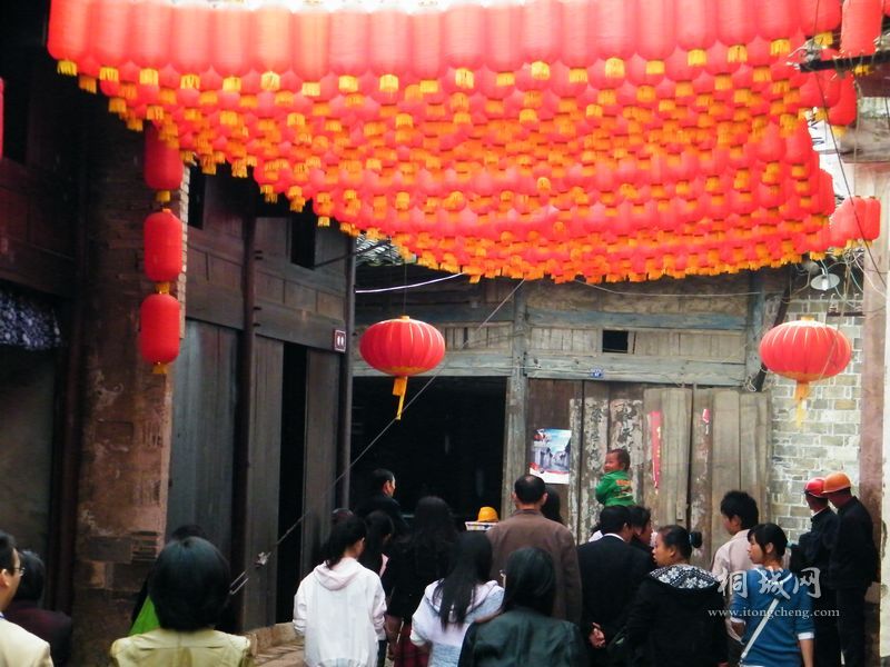 DSCF8480.jpg