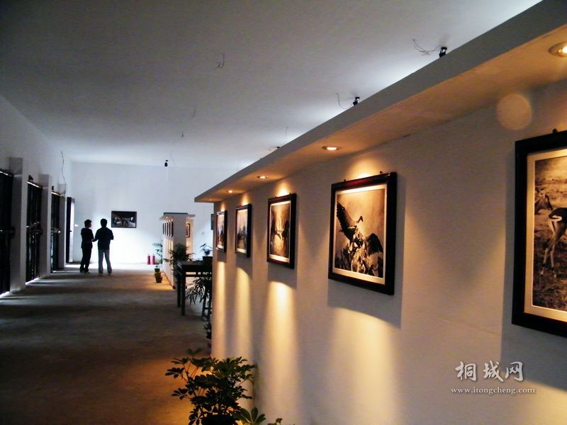 DSCF8402.jpg