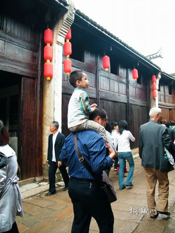 DSCF8356.jpg