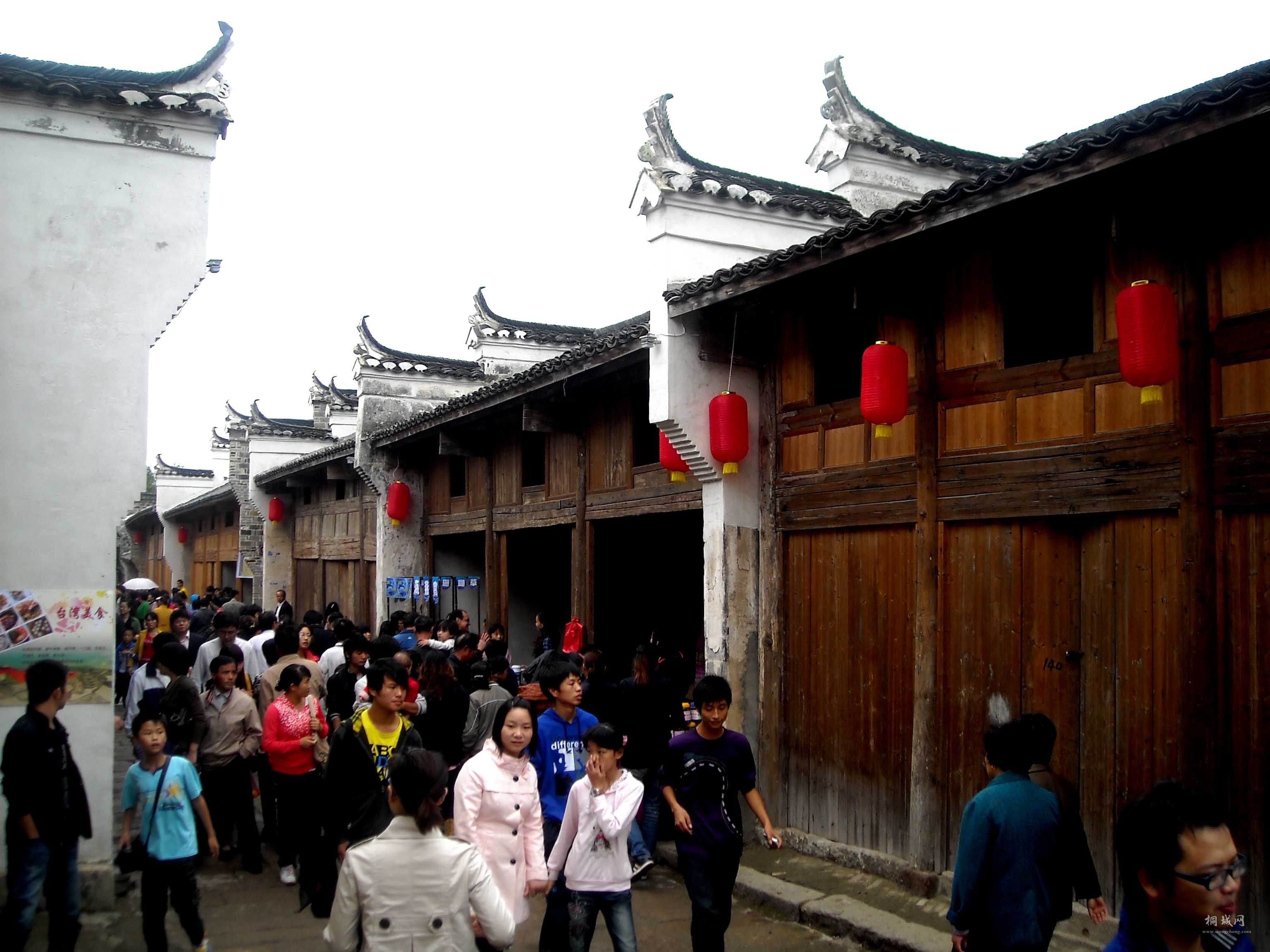 DSCN1365.jpg