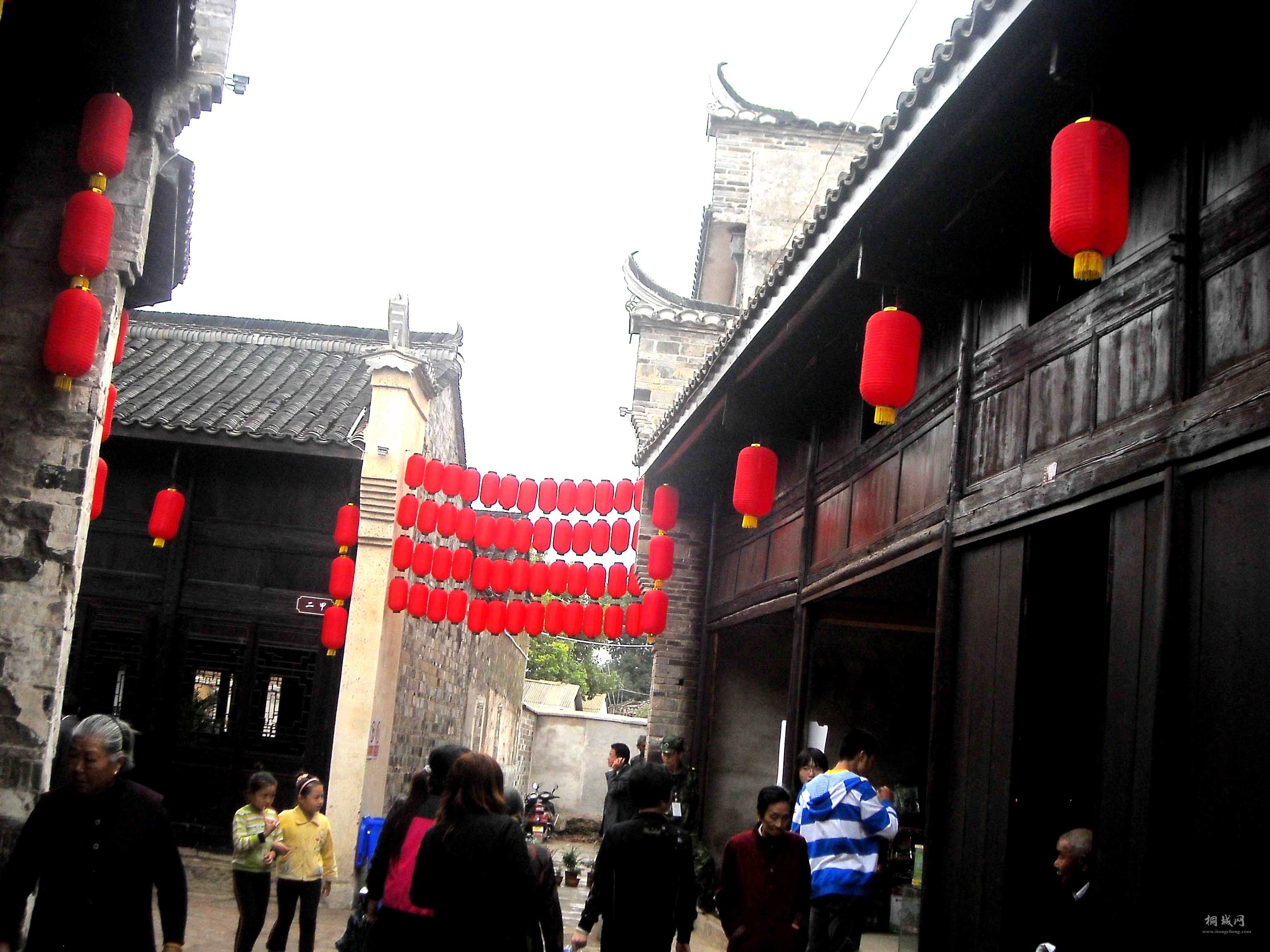 DSCN1385.jpg