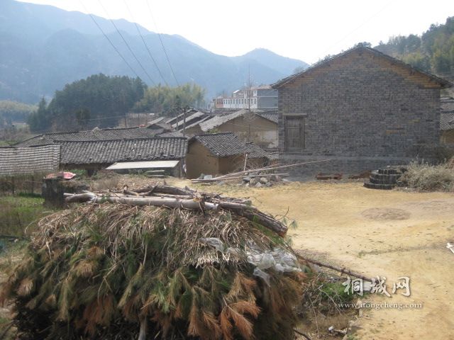 IMG_0222.jpg