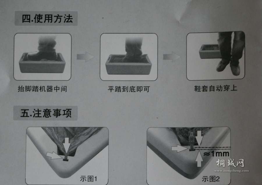IMGP5329.jpg