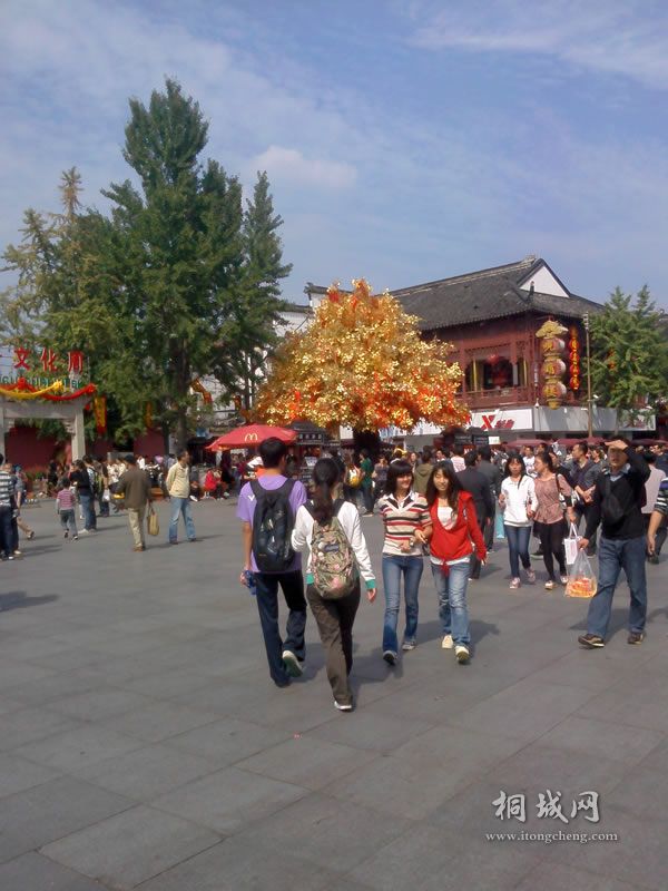 ��ת IMG1005131301.jpg