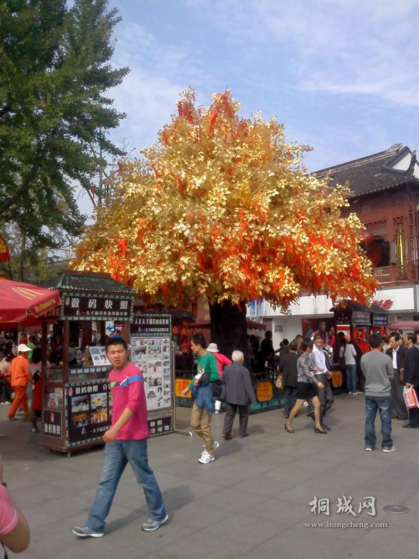 ��ת IMG1005131400.jpg