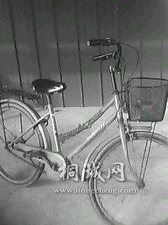 IMG0506A.jpg