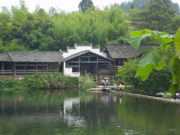 S6004199.JPG