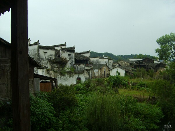 S6004206.JPG