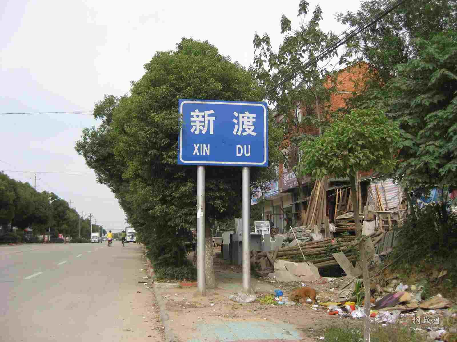 51.jpg
