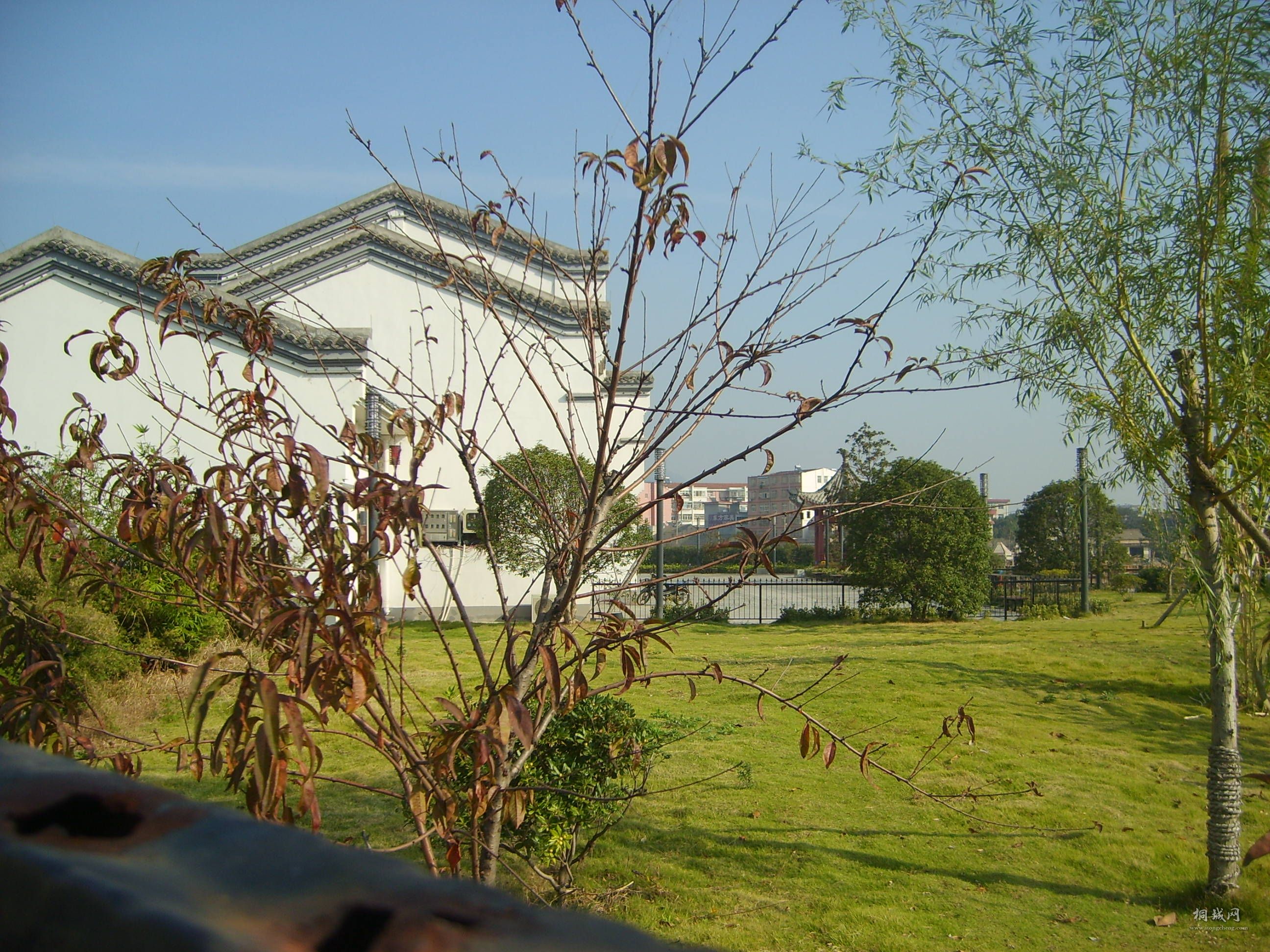 S6004263.JPG