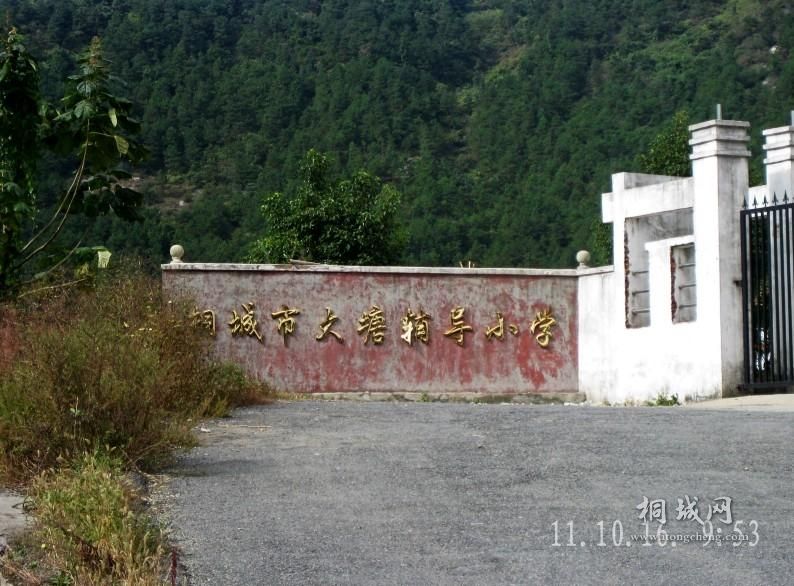 474.jpg