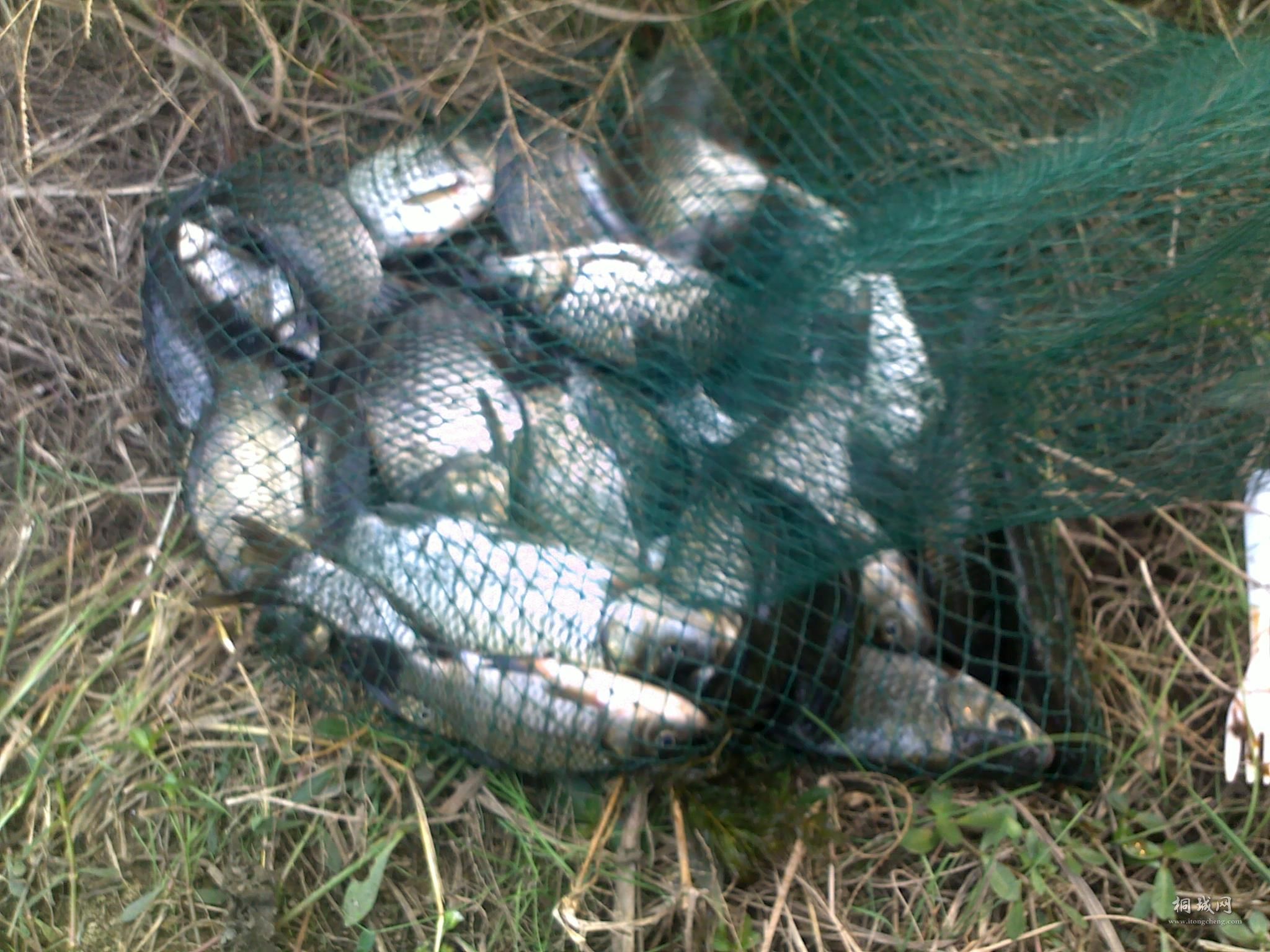 ���ϵ�С����������Ե�ͳһ����� ����