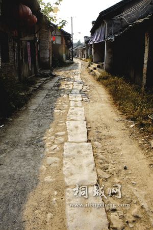 lj2.jpg